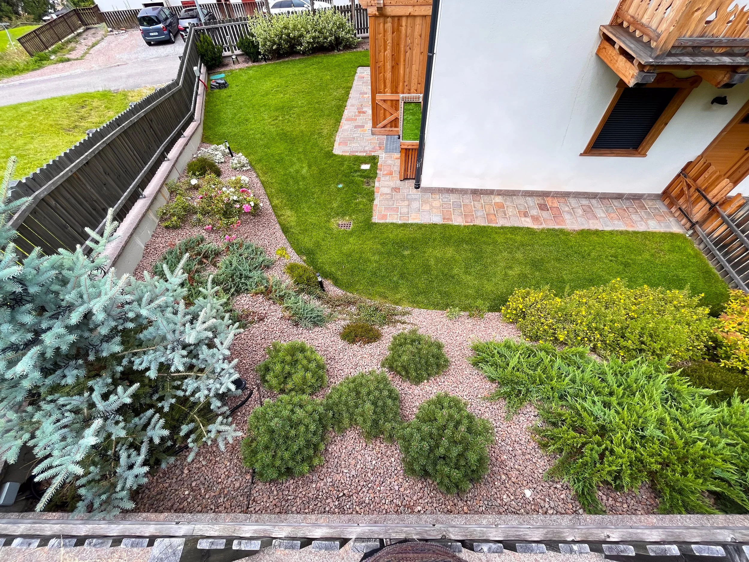 Moena Piccagli Dino (14).jpg