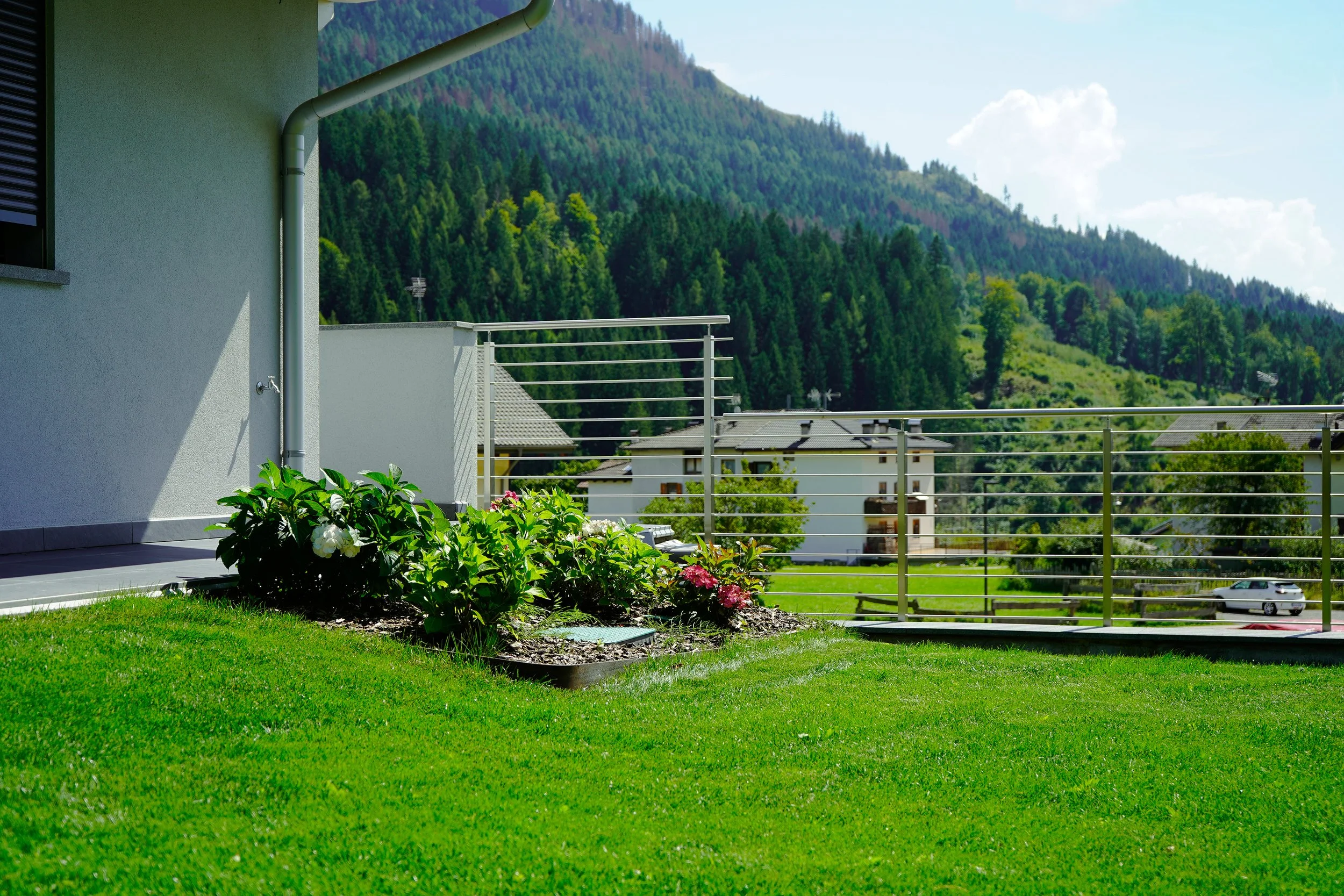 Baselga - Dallapiccola Daniele (8).jpg