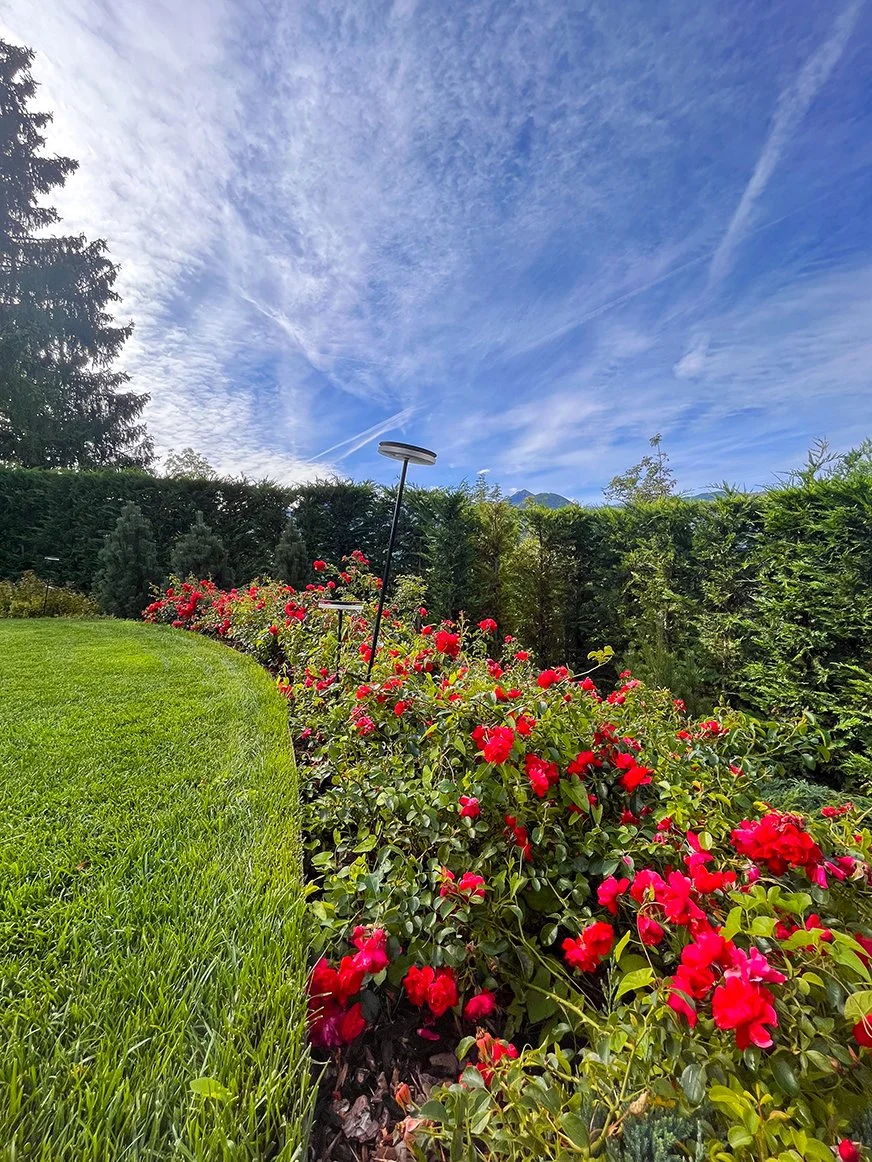 Delladio Marco - Cavalese (21).jpg