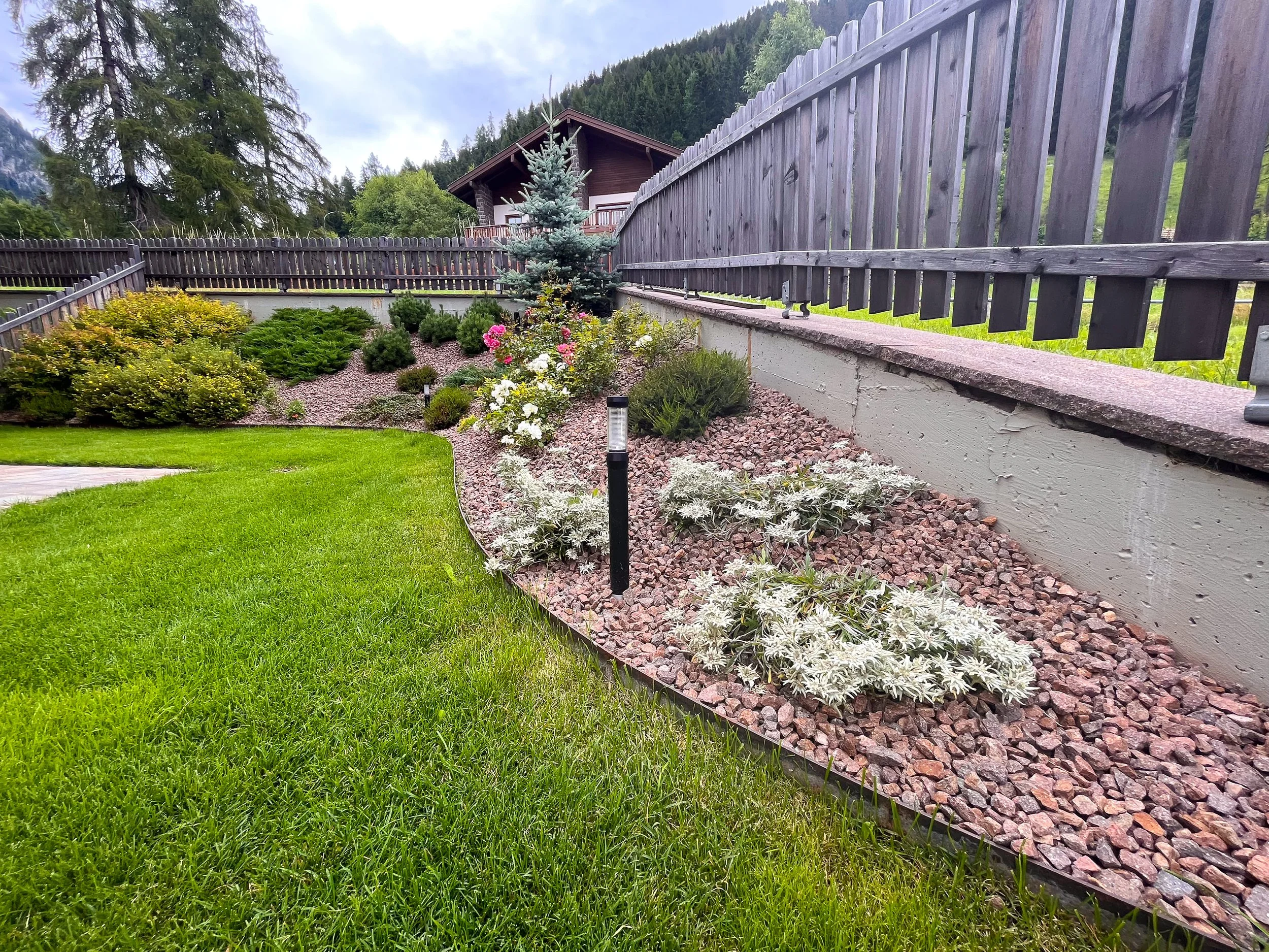 Moena Piccagli Dino (7).jpg