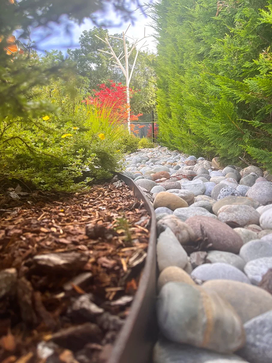 Delladio Marco - Cavalese (16).jpg