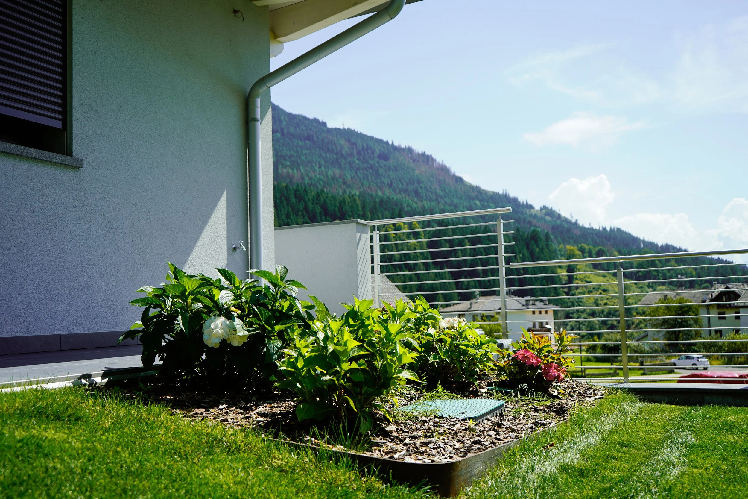 Baselga - Dallapiccola Daniele (7).jpg