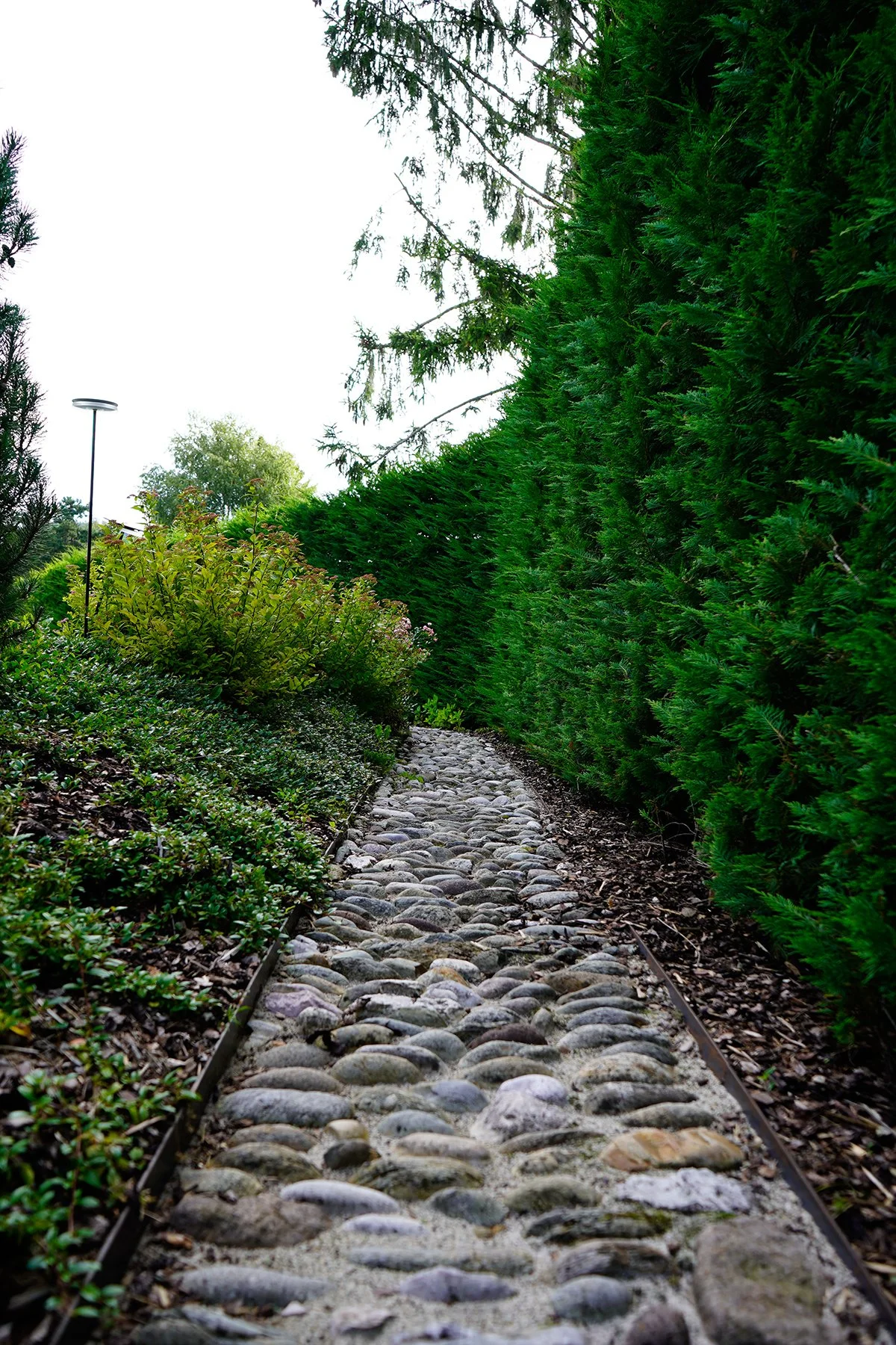 Delladio Marco - Cavalese (9).jpg