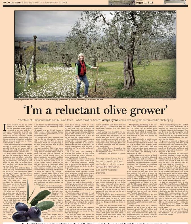 FINALCIAL TIMES (Copy)