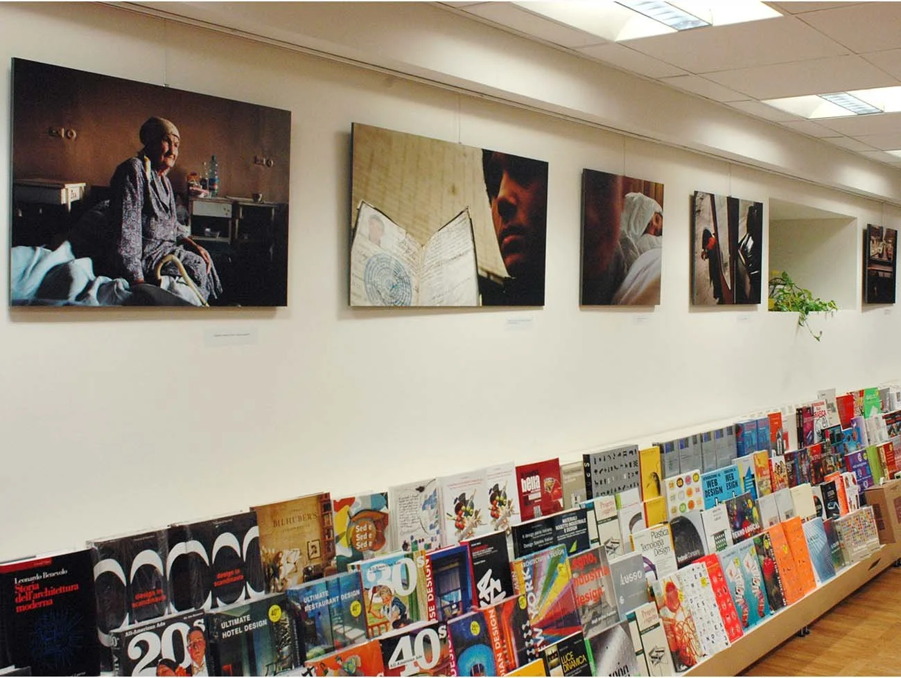 ASCOLI PICENO - LIBRERIA RINASCITA