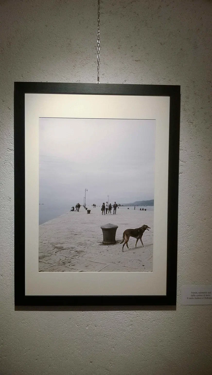 ASCOLI PICENO - PALAZZO DEI CAPITANI 2015