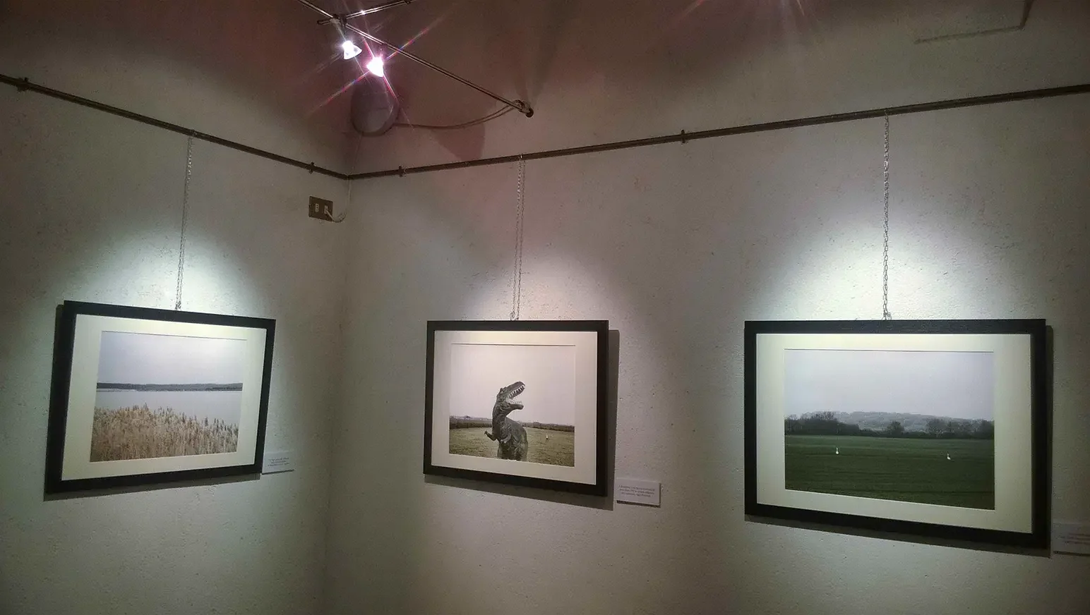 ASCOLI PICENO - PALAZZO DEI CAPITANI 2015