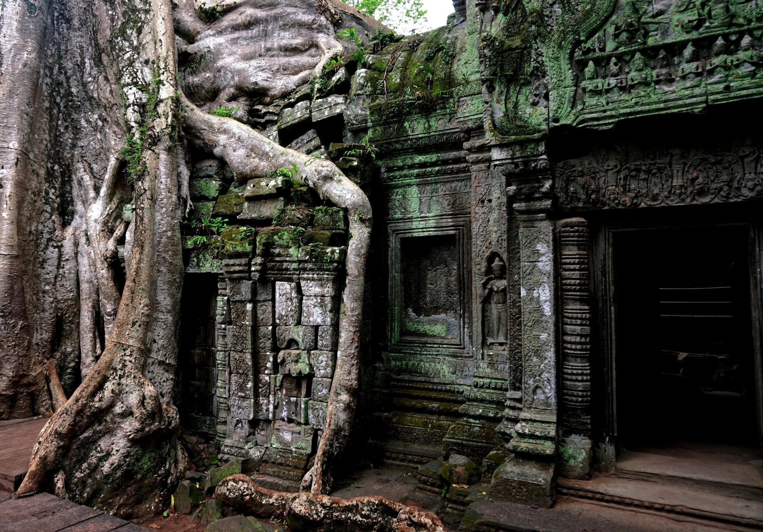 Ancient stone temple ruins overgrown with moss and roots, with intricate carvings and sculptures on the walls.