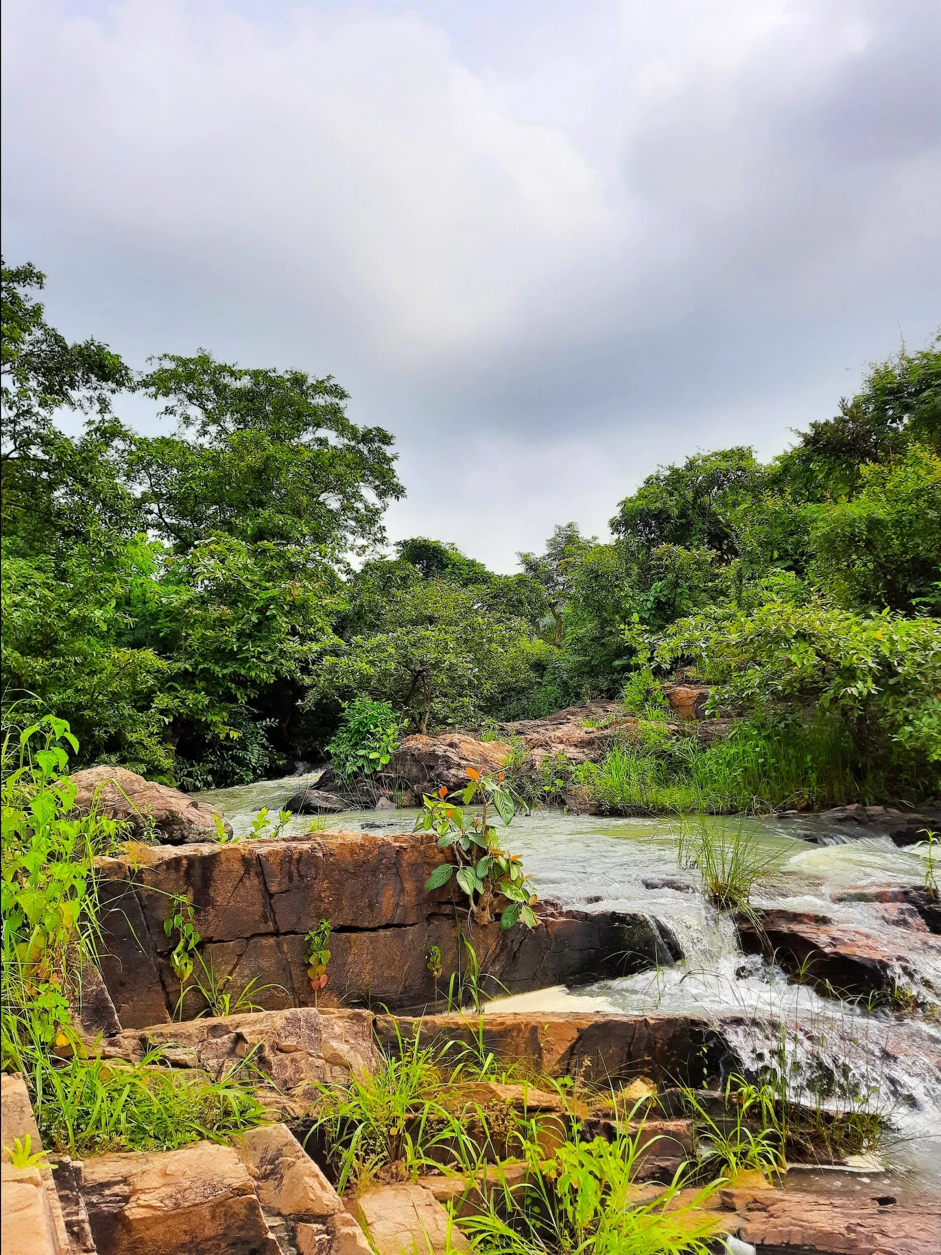 A natural landscape of a flowing river with rocks and lush green trees under a cloudy sky.