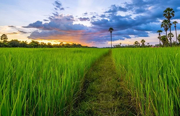 Best Time to Visit Angkor Wat