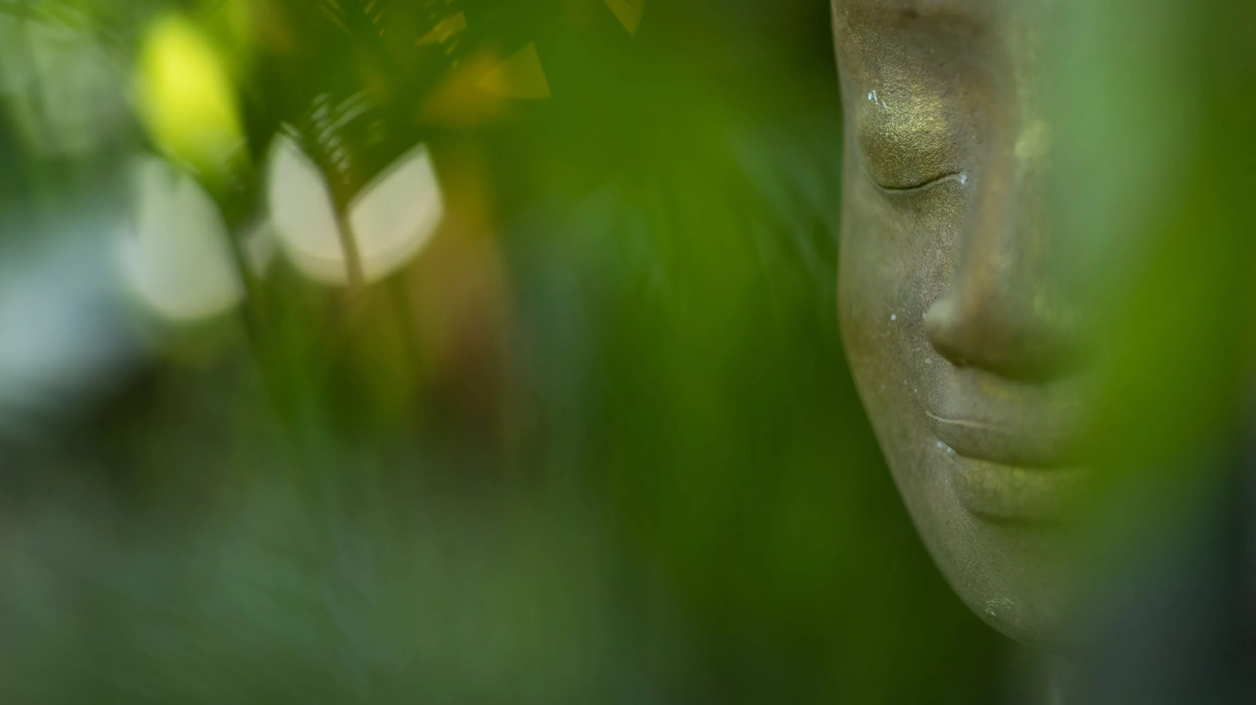 Close-up of a serene, stone Buddha face sculpture with calm expression amid greenery and blurred nature background.