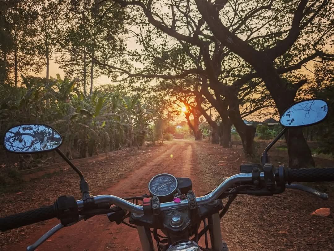 A motorcycle on a dirt road surrounded by trees with a sunset in the background.
