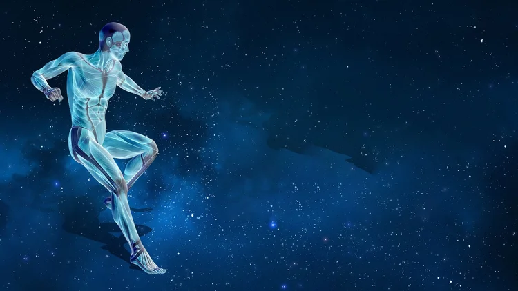 Fascia visual data 5