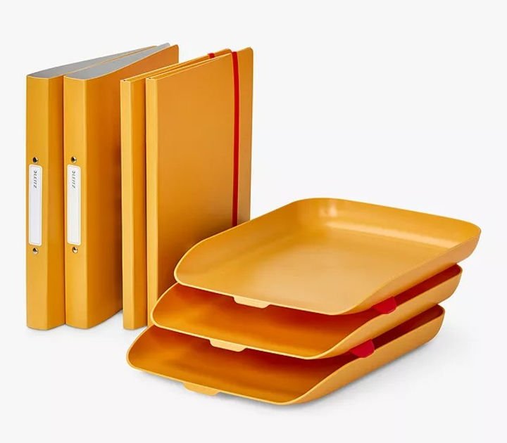 Orange file holders