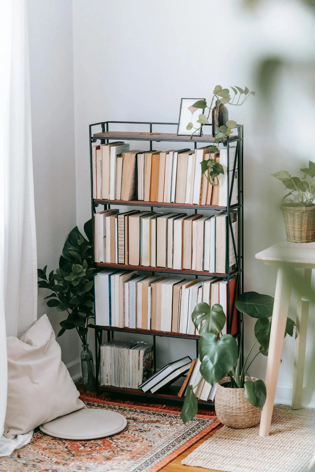 Organised bookcase