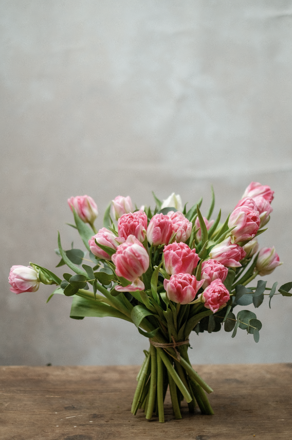 Screenshot 2026-03-04 at 19.48.45.png