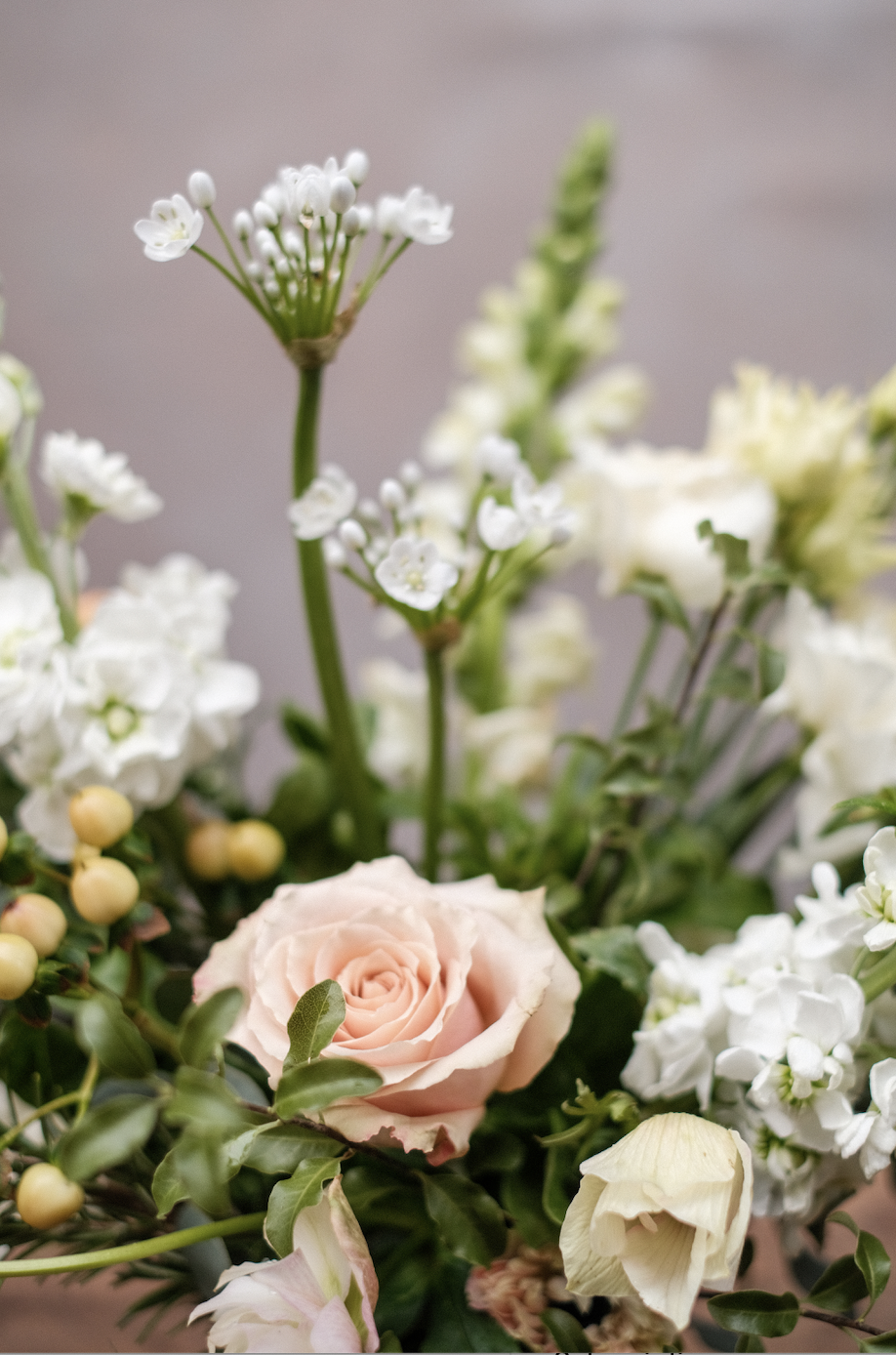 Screenshot 2026-01-27 at 15.59.41.png