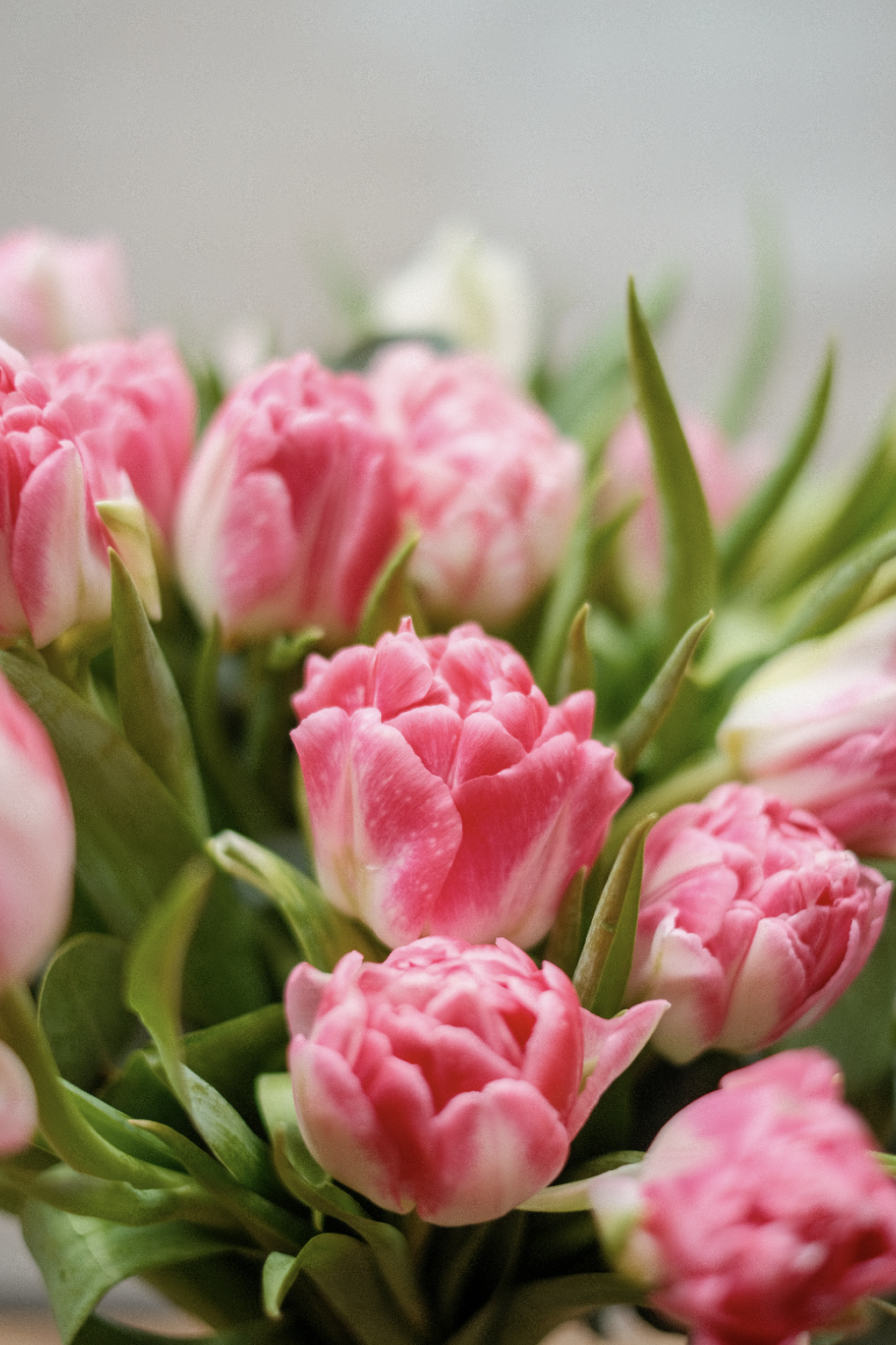 Screenshot 2026-03-04 at 19.49.09.png