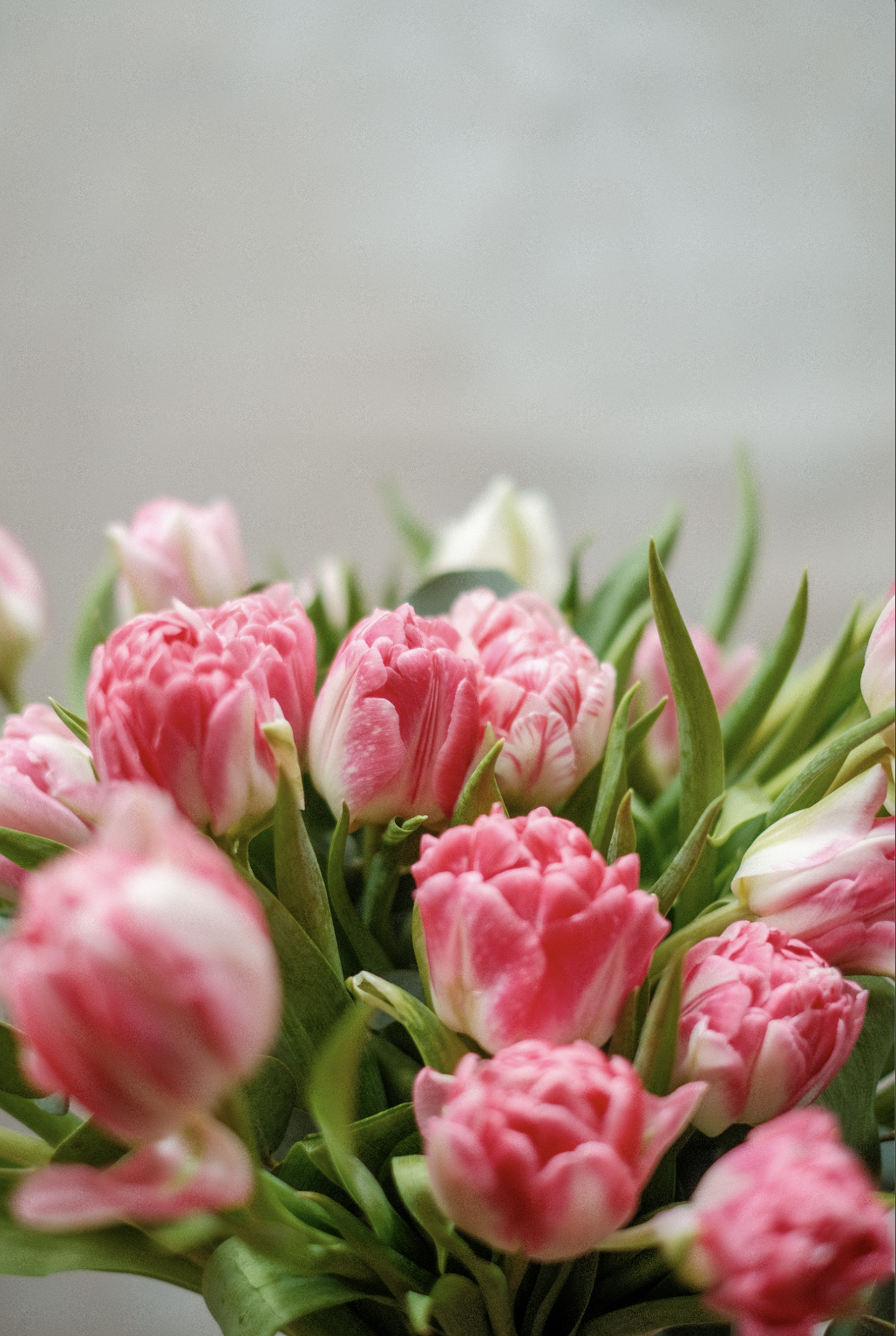 Screenshot 2026-03-04 at 19.48.54.png