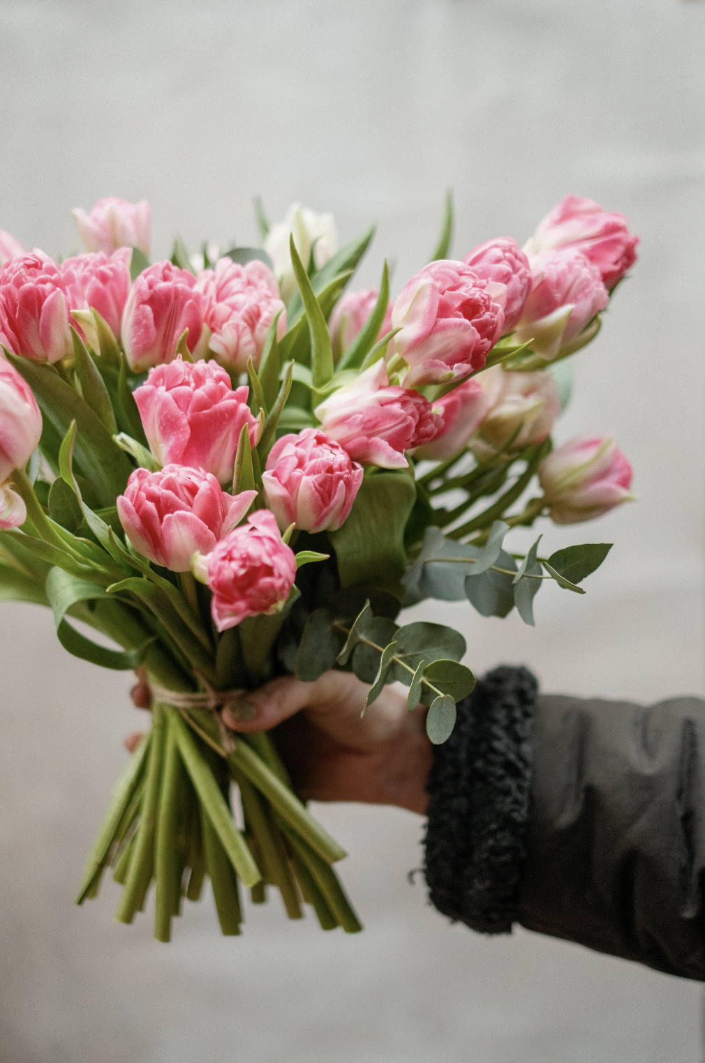 Screenshot 2026-03-04 at 19.49.35.png