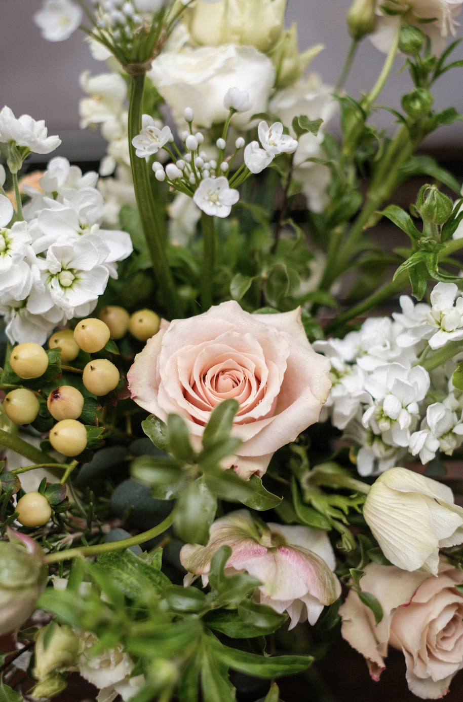 Screenshot 2026-01-27 at 15.59.06.png