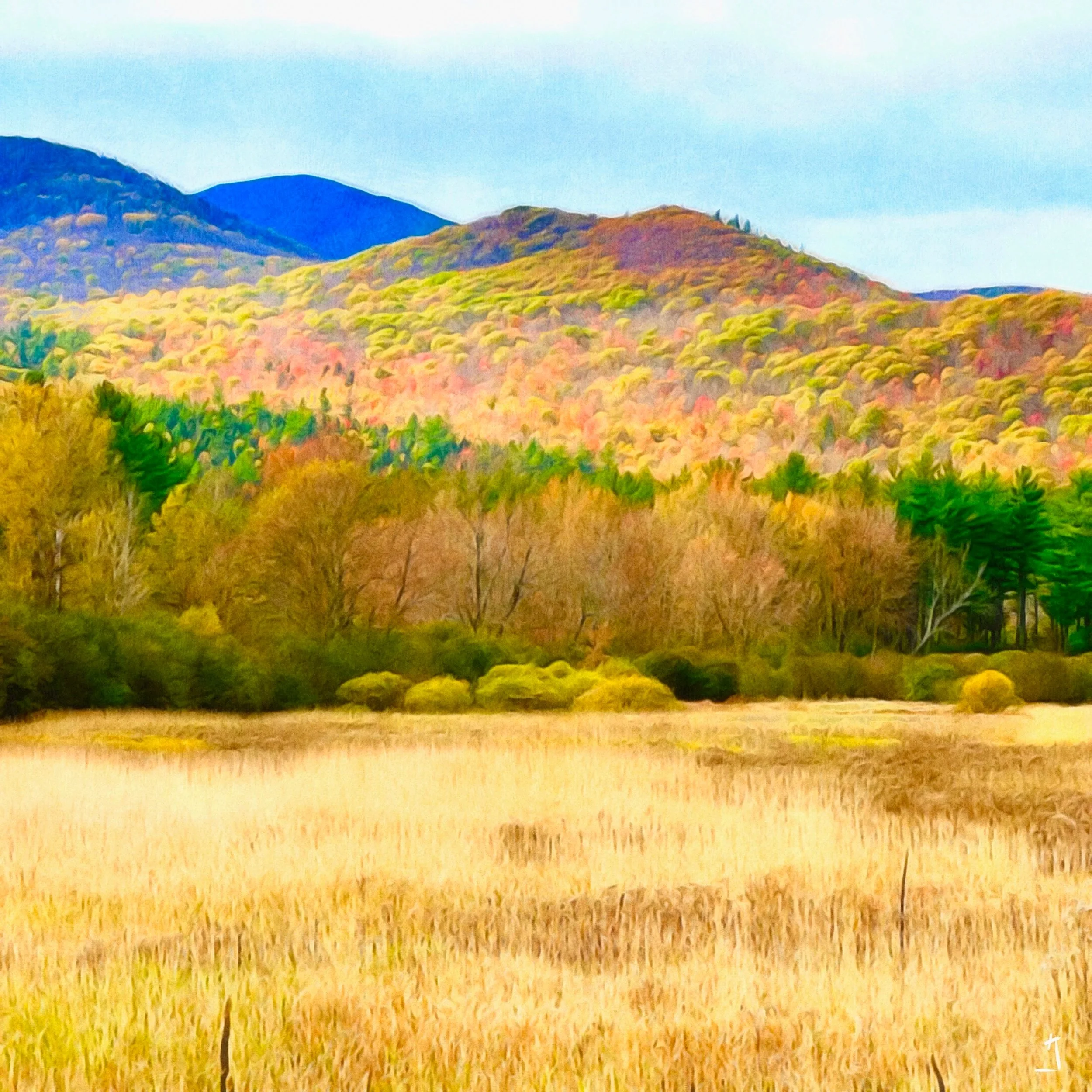 USA: New York/New England Leaves