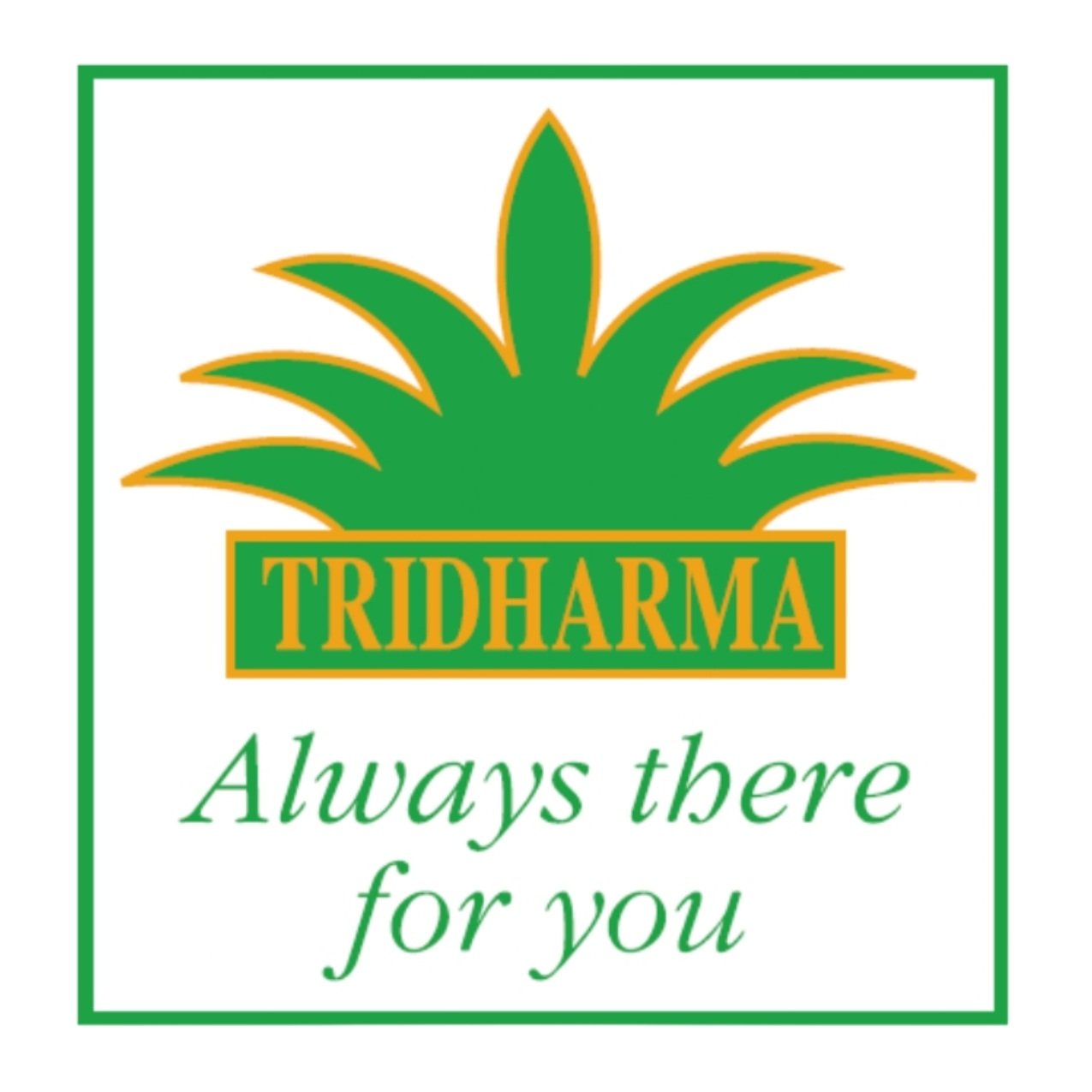 Tridharma Proteksi - Direct Insurance Brokerage 