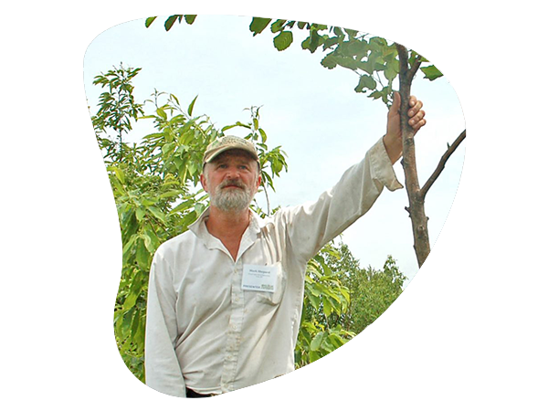 man-holding-nut-tree