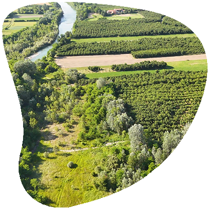 landscape-with-woods-and-river