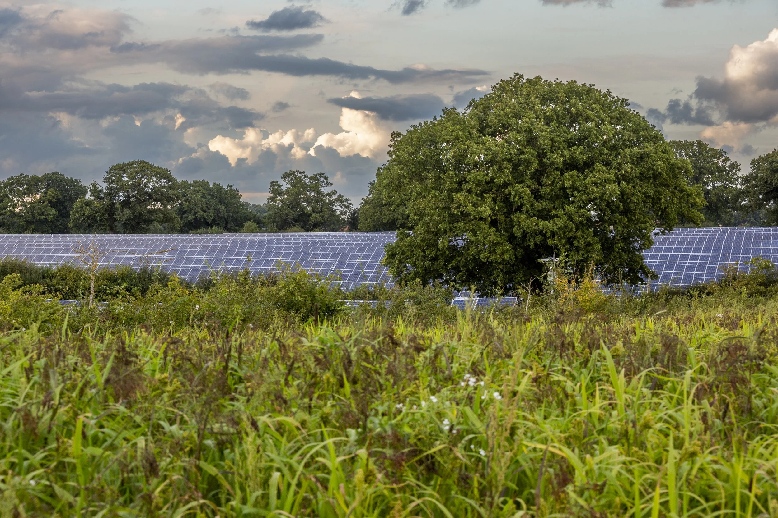 Environment, Mitigation and Benefits — Lime Down Solar Park