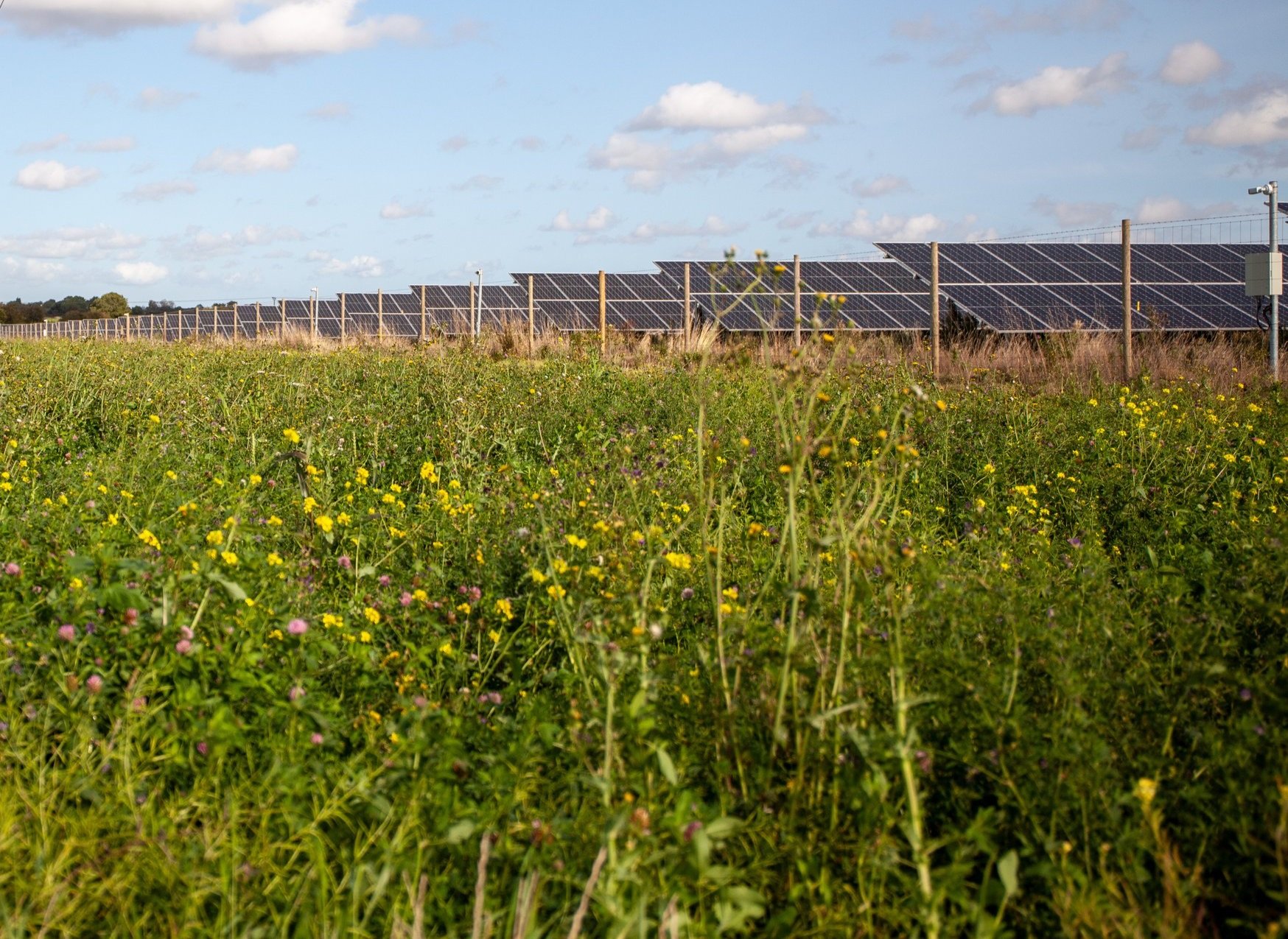 Ecosystem Development Regulation Environment, Mitigation and Benefits — Lime Down Solar Park