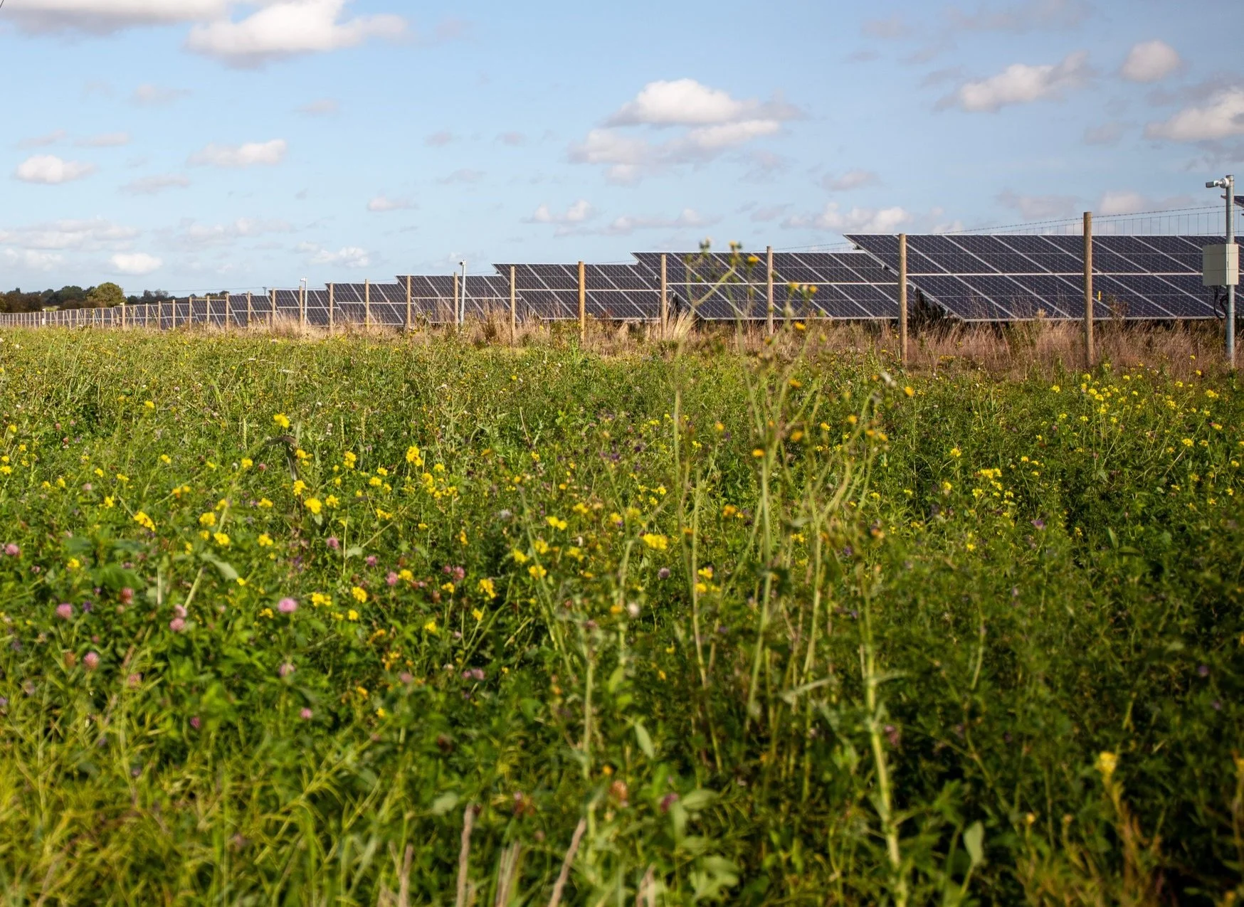 Environment, Mitigation and Benefits — Lime Down Solar Park