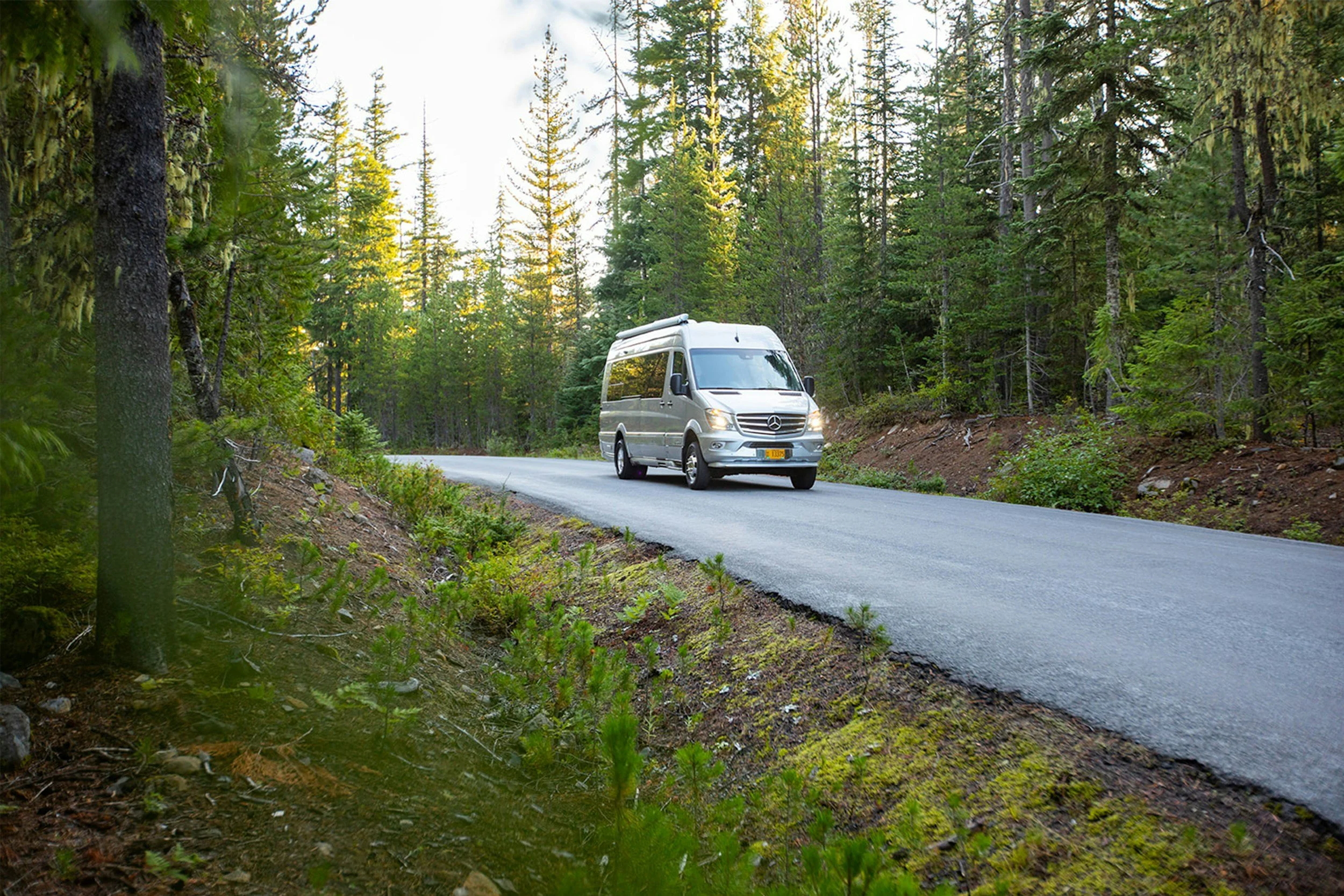 A silver van driving on a paved forest road surrounded by tall green trees.