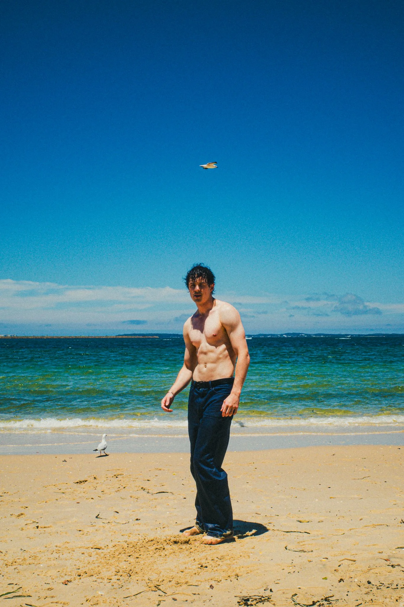 A shirtless man in dark pants standing on a sandy beach near the ocean with seagulls flying and standing nearby, under a clear blue sky.