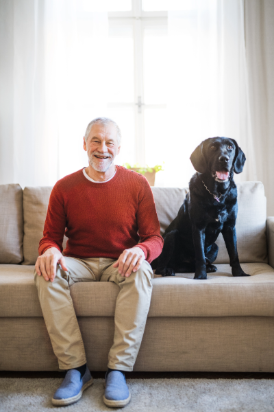 What is Animal-Assisted Therapy &amp; How We Use It
