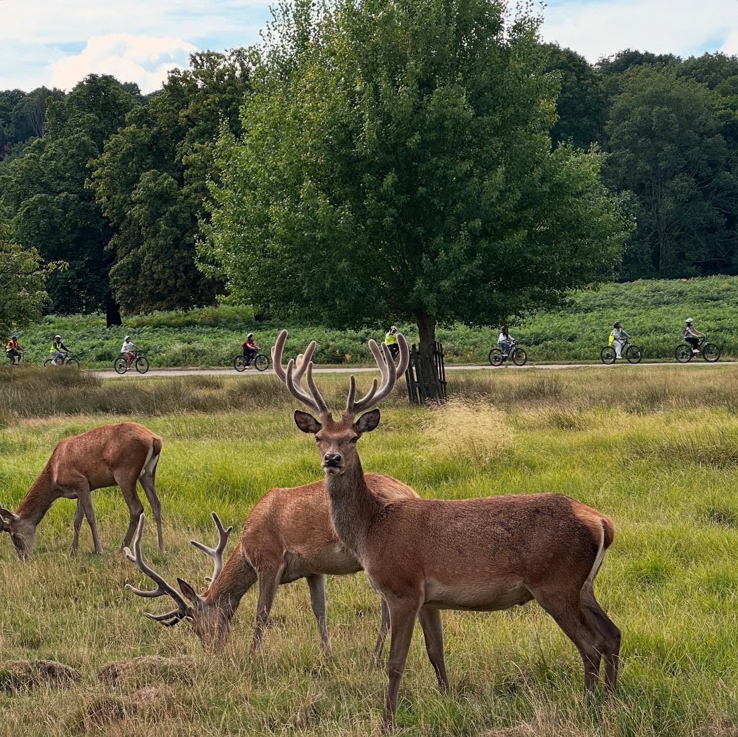 Summer HAP 2025 Highlights

From cycling through Richmond Park to rowing at the Olympic Park, cooking sessions with Brodie, and hands-on indoor rowing at the Regatta Centre this summer was packed with growth, teamwork, and adventure.

Over 7 days, ou