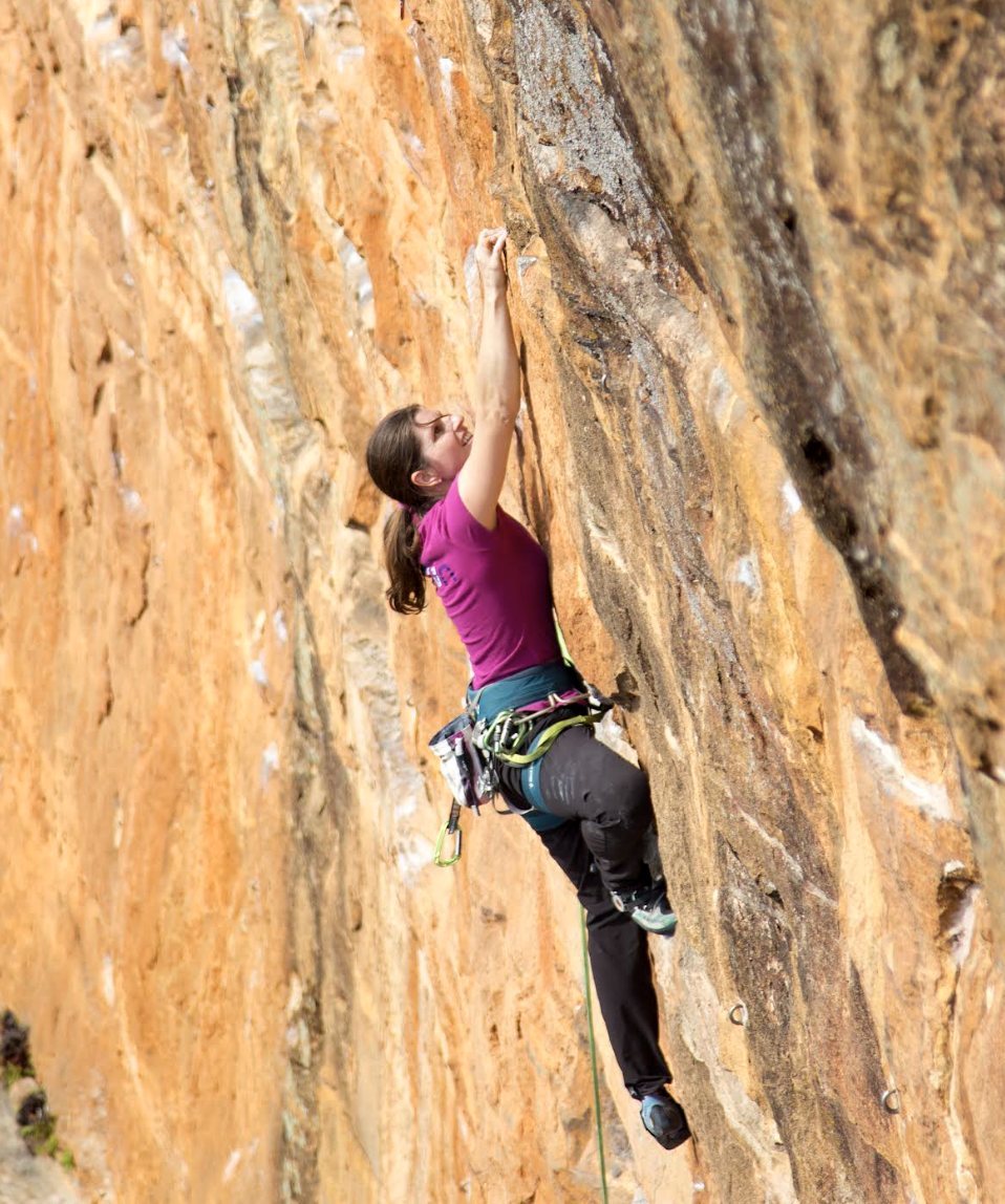 Screenshot 2024-09-13 at 2.51.25 PM.png