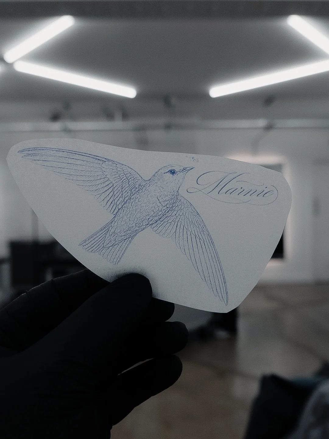 Swift bird and fineline script for Josh&rsquo;s daughter 💫

Books Open | @themanchestersocial
&mdash;&mdash;&mdash;&mdash;&mdash;&mdash;&mdash;&mdash;&mdash;&mdash;&mdash;&mdash;&mdash;&mdash;&mdash;&mdash;&mdash;&mdash;&mdash;&mdash;&mdash;&mdash;&