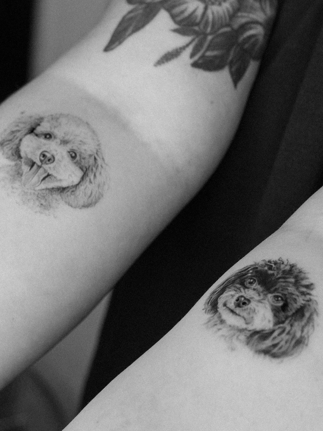 Two beautiful pups done today 🐶

Save this for your next tattoo idea &hearts;️

Books Open | @themanchestersocial
&mdash;&mdash;&mdash;&mdash;&mdash;&mdash;&mdash;&mdash;&mdash;&mdash;&mdash;&mdash;&mdash;&mdash;&mdash;&mdash;&mdash;&mdash;&mdash;&m