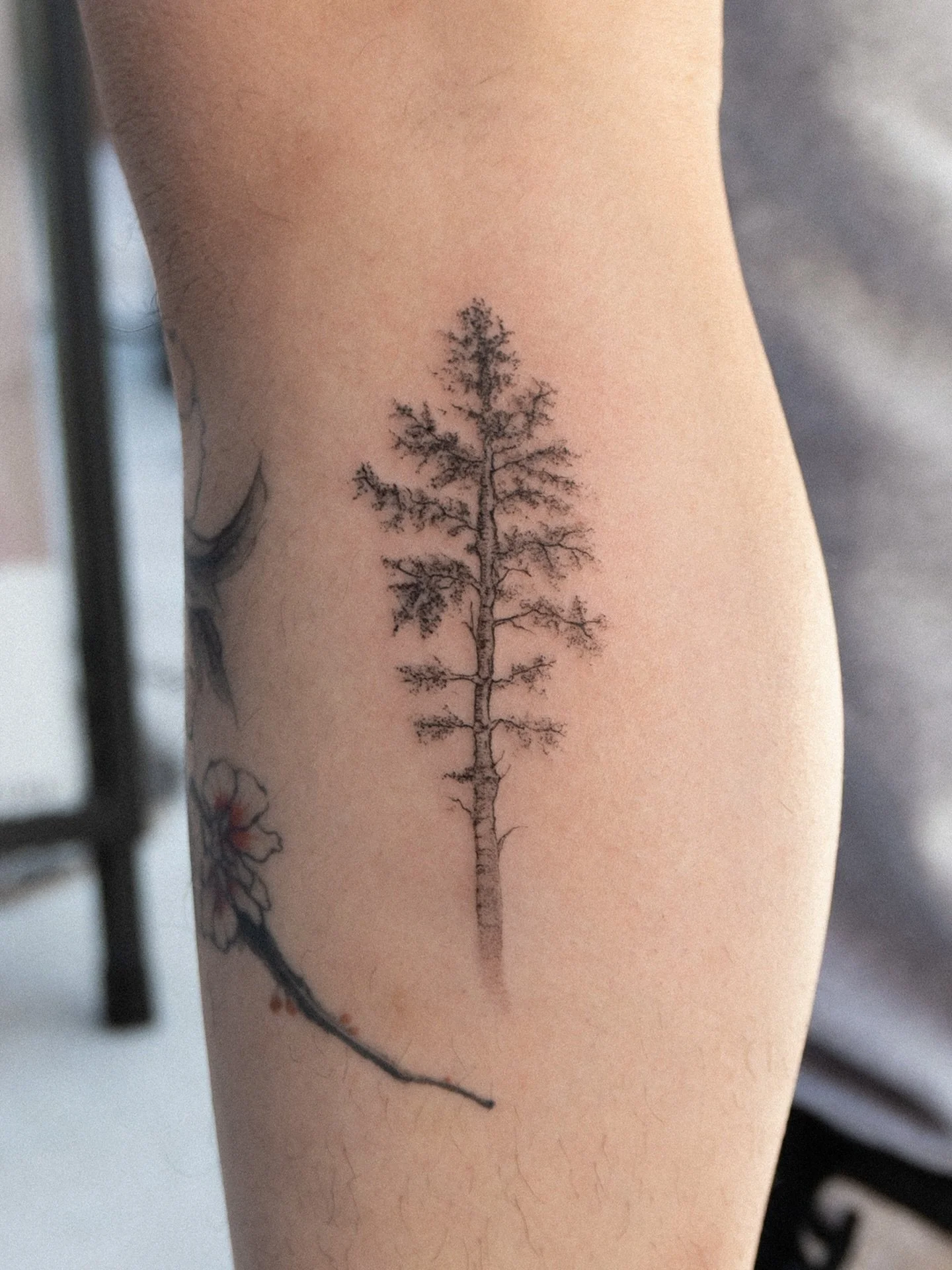 Aspen Tree 🌲 | @tattoo.aspen
