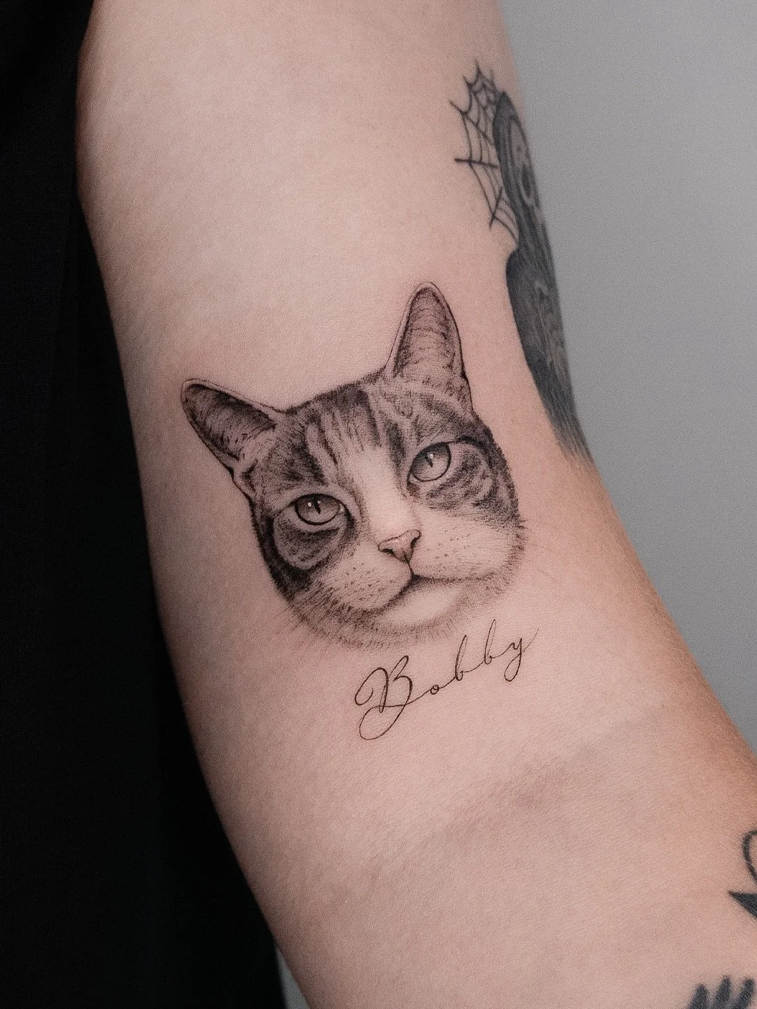 For Bobby 🐈

Books Open ➜ @themanchestersocial 
&mdash;&mdash;&mdash;&mdash;&mdash;&mdash;&mdash;&mdash;&mdash;&mdash;&mdash;&mdash;&mdash;&mdash;&mdash;&mdash;&mdash;&mdash;&mdash;&mdash;&mdash;&mdash;&mdash;&mdash;
#tattooartist #finelinetattoo #f