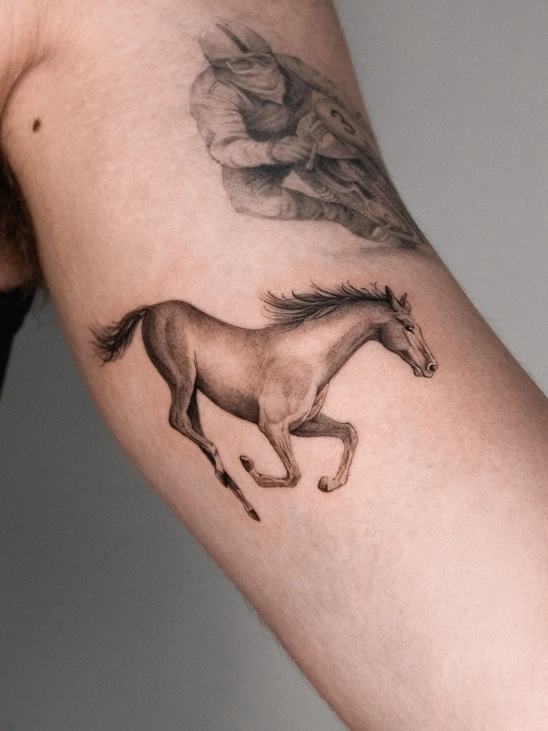 Stallion for @ben.ashcroft 

Books Open ➜ @themanchestersocial 
&mdash;&mdash;&mdash;&mdash;&mdash;&mdash;&mdash;&mdash;&mdash;&mdash;&mdash;&mdash;&mdash;&mdash;&mdash;&mdash;&mdash;&mdash;&mdash;&mdash;&mdash;&mdash;&mdash;&mdash;
#tattooartist #fi