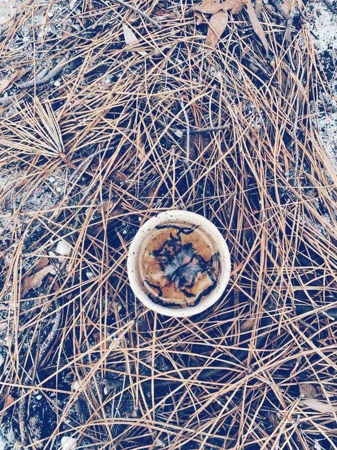 Leaves in a bowl: Cape Point, Cape Town