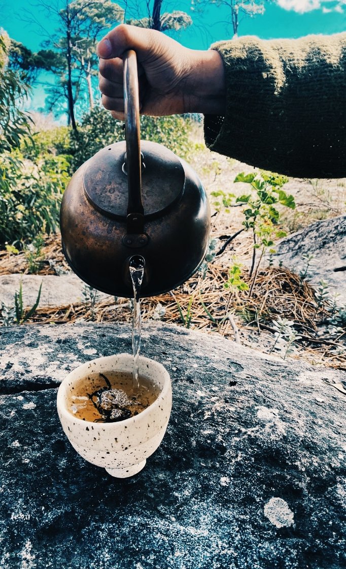 Leaves in a bowl: Cape Point, Cape Town