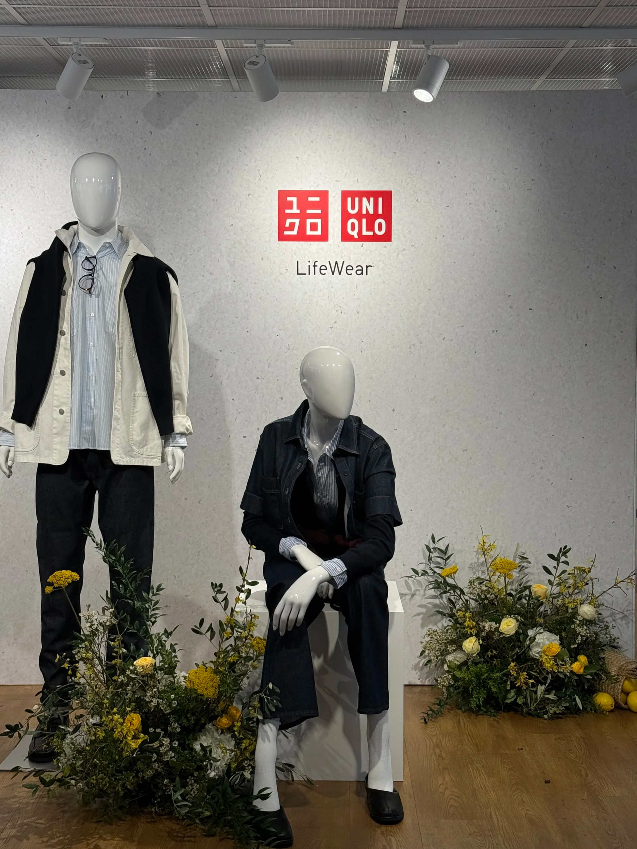 Display window with mannequins wearing casual clothing, plant arrangements on the floor, and a UNIQLO logo on the back wall.