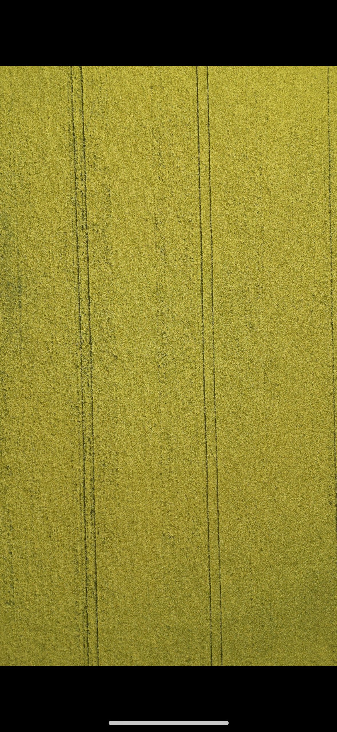 390B9857-4CFE-420F-8F4F-DF3BE0C4CEC8.jpeg