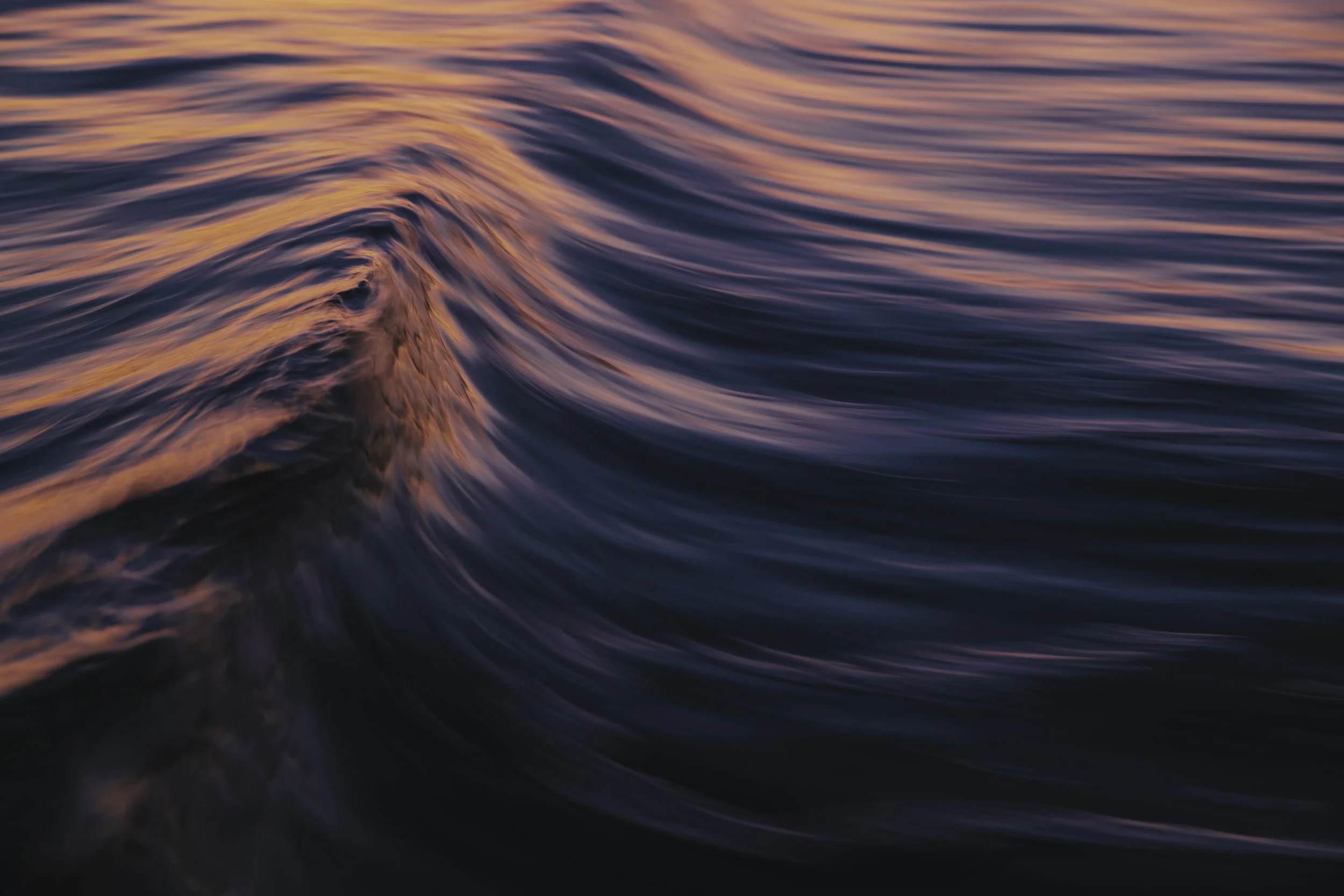 10x A56I2683 The Crest.jpg