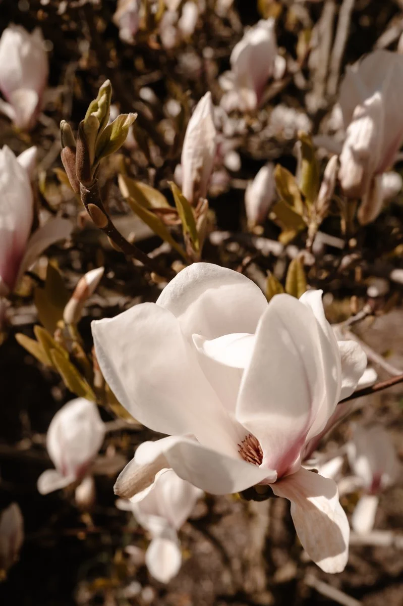 Wedding Middleton Lodge Fig House-67.jpg