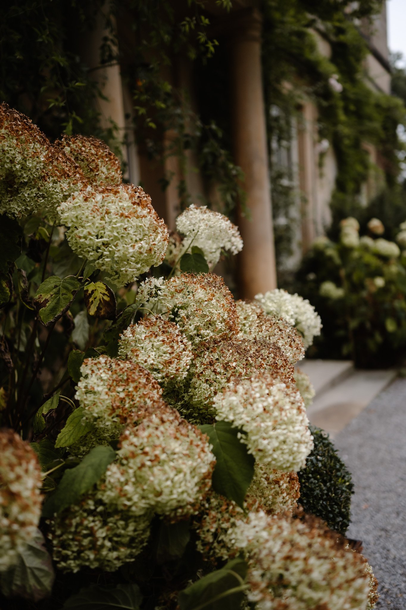 Middleton Lodge Wedding Photographer-8.jpg