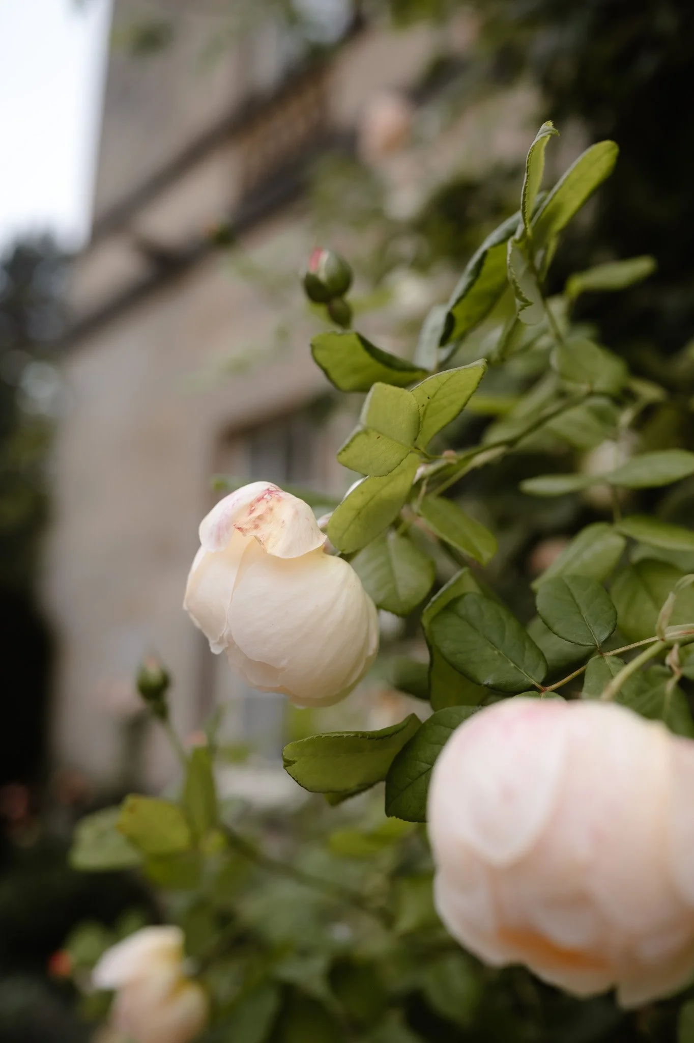 Middleton Lodge Wedding Photographer-19.jpg